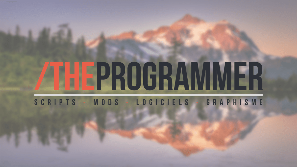 The-Programmer
